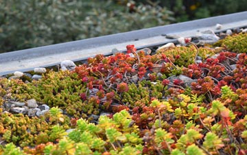 the cost of Craigielaw green roof installation