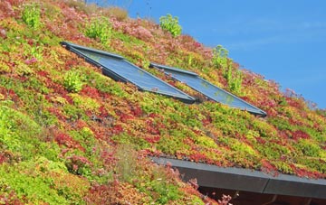 Craigielaw living roof systems