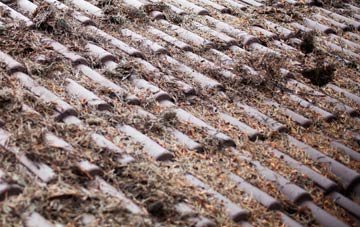 Craigielaw roof cleaning companies