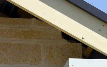soffit repair Craigielaw
