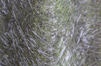 Craigielaw fibreglass roof work